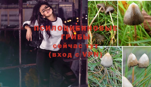 гашишное масло Майский